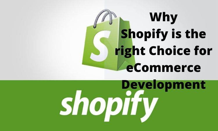 shopify-ecommerce-development