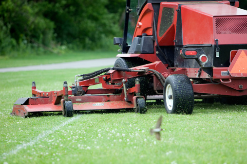 commercial lawn care service Florida