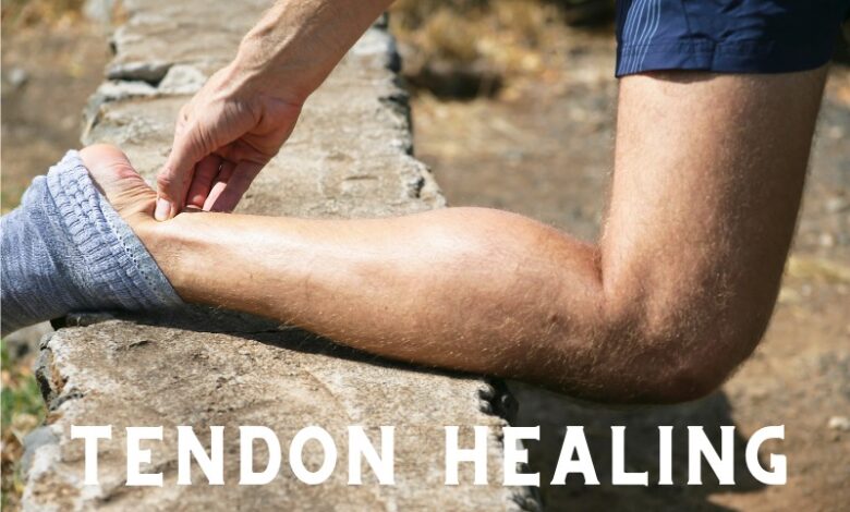 what is tendon healing