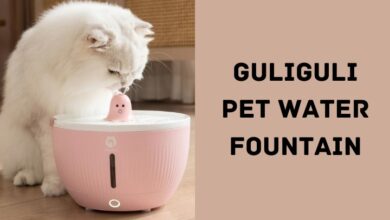 GULIGULI Pet Water Fountain